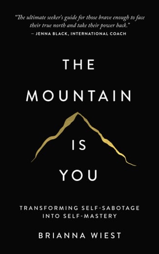 Book cover of The Mountain Is You