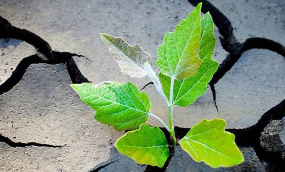 RESILIENCE: PART ONE
