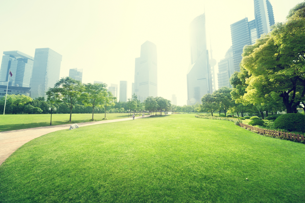 4 Reasons to Include Environmental Wellness in Your Wellness Program