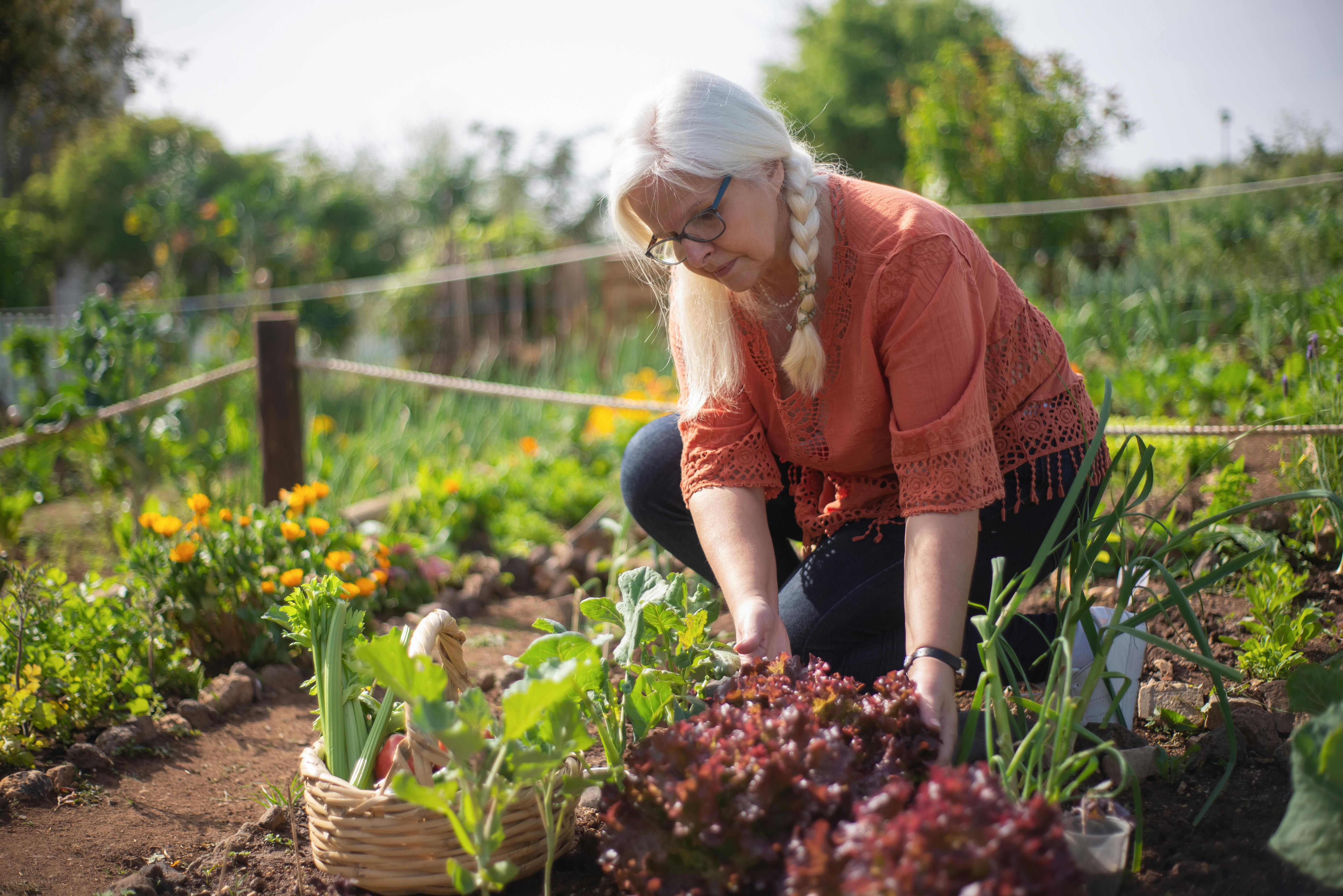 Tips for Gardening at Home